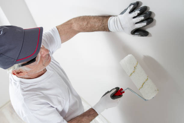 Best Fire-Damaged Drywall Repair  in Laguna Niguel, CA